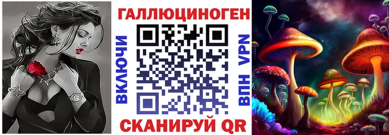 Галлюциногенные грибы GOLDEN TEACHER  как найти закладки  Кореновск 