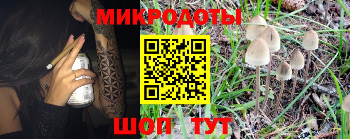 Галлюциногенные грибы Psilocybine cubensis Кореновск