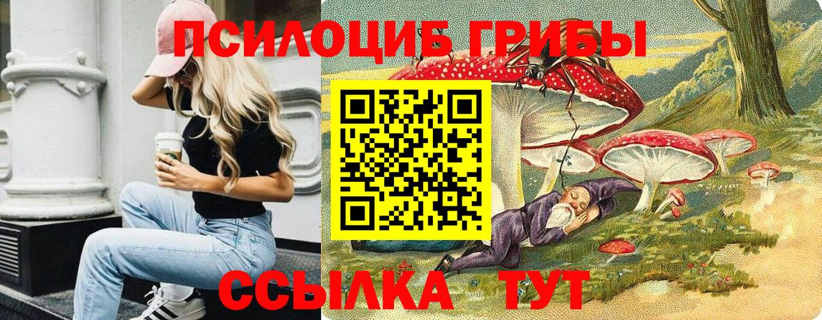 Галлюциногенные грибы прущие грибы  Кореновск 