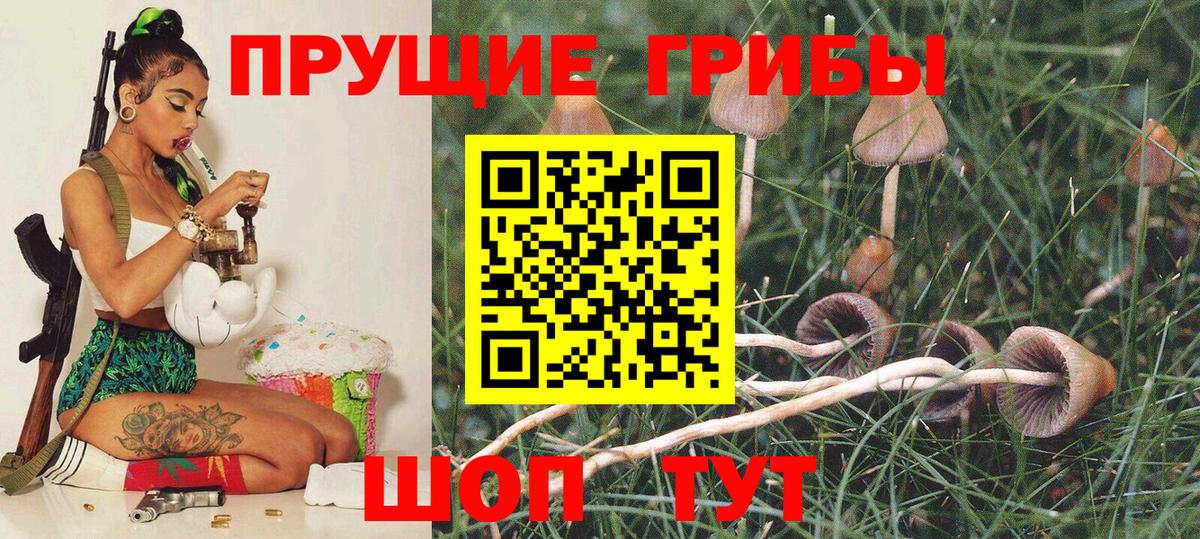 Псилоцибиновые грибы Psilocybe  Галлюциногенные грибы Psilocybe  Кореновск  Вход с VPN 